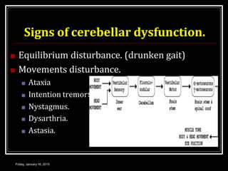 cerebellum-150116111010-conversion-gate02.pptx