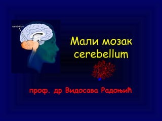Maли мозак
cerebellum
проф. др Видосава Радоњић
 