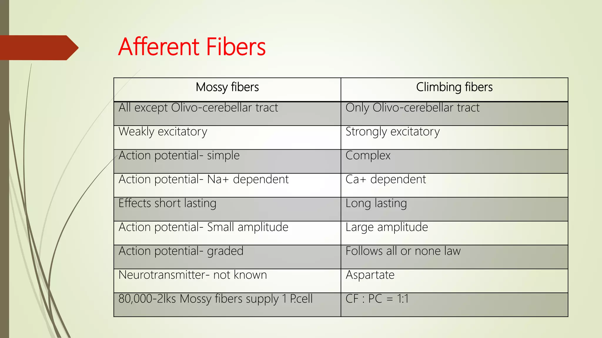 Afferent Fibers
Mossy fibers Climbing fibers
All except Olivo-cerebellar tract Only Olivo-cerebellar tract
Weakly excitatory Strongly excitatory
Action potential- simple Complex
Action potential- Na+ dependent Ca+ dependent
Effects short lasting Long lasting
Action potential- Small amplitude Large amplitude
Action potential- graded Follows all or none law
Neurotransmitter- not known Aspartate
80,000-2lks Mossy fibers supply 1 P.cell CF : PC = 1:1
 