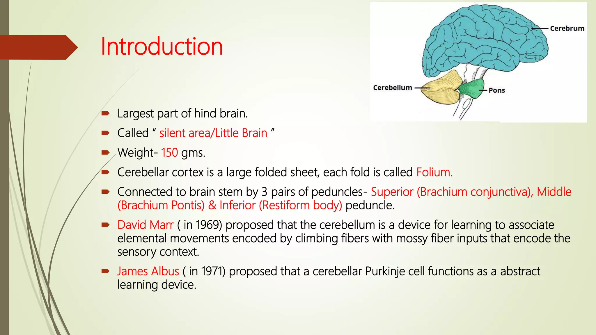 Introduction
 Largest part of hind brain.
 Called “ silent area/Little Brain ”
 Weight- 150 gms.
 Cerebellar cortex is a large folded sheet, each fold is called Folium.
 Connected to brain stem by 3 pairs of peduncles- Superior (Brachium conjunctiva), Middle
(Brachium Pontis) & Inferior (Restiform body) peduncle.
 David Marr ( in 1969) proposed that the cerebellum is a device for learning to associate
elemental movements encoded by climbing fibers with mossy fiber inputs that encode the
sensory context.
 James Albus ( in 1971) proposed that a cerebellar Purkinje cell functions as a abstract
learning device.
 