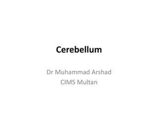 Cerebellum
Dr Muhammad Arshad
CIMS Multan
 