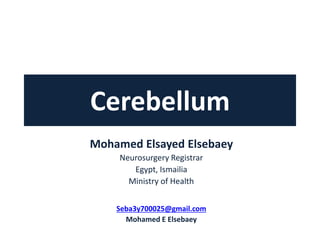 Cerebellum
Mohamed Elsayed Elsebaey
Neurosurgery Registrar
Egypt, Ismailia
Ministry of Health
Seba3y700025@gmail.com
Mohamed E Elsebaey
 