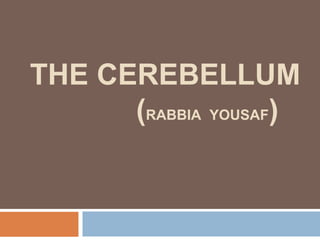 THE CEREBELLUM
(RABBIA YOUSAF)
 