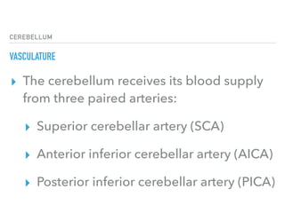 CEREBELLUM
VASCULATURE
▸ The cerebellum receives its blood supply
from three paired arteries:
▸ Superior cerebellar artery (SCA)
▸ Anterior inferior cerebellar artery (AICA)
▸ Posterior inferior cerebellar artery (PICA)
 