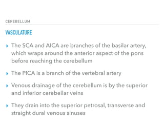 CEREBELLUM
VASCULATURE
▸ The SCA and AICA are branches of the basilar artery,
which wraps around the anterior aspect of the pons
before reaching the cerebellum
▸ The PICA is a branch of the vertebral artery
▸ Venous drainage of the cerebellum is by the superior 
and inferior cerebellar veins
▸ They drain into the superior petrosal, transverse and
straight dural venous sinuses
 