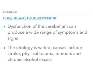 CEREBELLUM
CLINICAL RELEVANCE: CEREBELLAR DYSFUNCTION
▸ Dysfunction of the cerebellum can
produce a wide range of symptoms and
signs
▸ The etiology is varied; causes include
stroke, physical trauma, tumours and
chronic alcohol excess
 