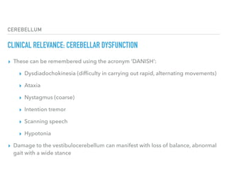 CEREBELLUM
CLINICAL RELEVANCE: CEREBELLAR DYSFUNCTION
▸ These can be remembered using the acronym ‘DANISH‘:
▸ Dysdiadochokinesia (difﬁculty in carrying out rapid, alternating movements)
▸ Ataxia
▸ Nystagmus (coarse)
▸ Intention tremor
▸ Scanning speech
▸ Hypotonia
▸ Damage to the vestibulocerebellum can manifest with loss of balance, abnormal
gait with a wide stance
 