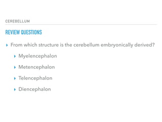 CEREBELLUM
REVIEW QUESTIONS
▸ From which structure is the cerebellum embryonically derived?
▸ Myelencephalon
▸ Metencephalon
▸ Telencephalon
▸ Diencephalon
 