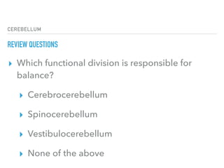 CEREBELLUM
REVIEW QUESTIONS
▸ Which functional division is responsible for
balance?
▸ Cerebrocerebellum
▸ Spinocerebellum
▸ Vestibulocerebellum
▸ None of the above
 