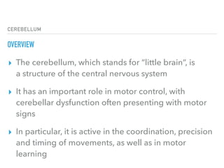 CEREBELLUM
OVERVIEW
▸ The cerebellum, which stands for “little brain”, is
a structure of the central nervous system
▸ It has an important role in motor control, with
cerebellar dysfunction often presenting with motor
signs
▸ In particular, it is active in the coordination, precision
and timing of movements, as well as in motor
learning
 