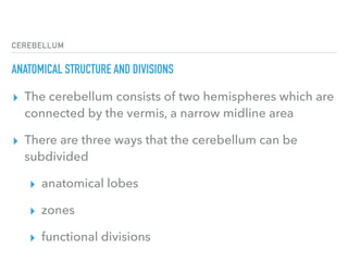 CEREBELLUM
ANATOMICAL STRUCTURE AND DIVISIONS
▸ The cerebellum consists of two hemispheres which are
connected by the vermis, a narrow midline area
▸ There are three ways that the cerebellum can be
subdivided
▸ anatomical lobes
▸ zones
▸ functional divisions
 