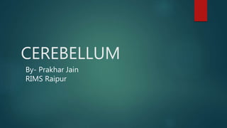CEREBELLUM
By- Prakhar Jain
RIMS Raipur
 