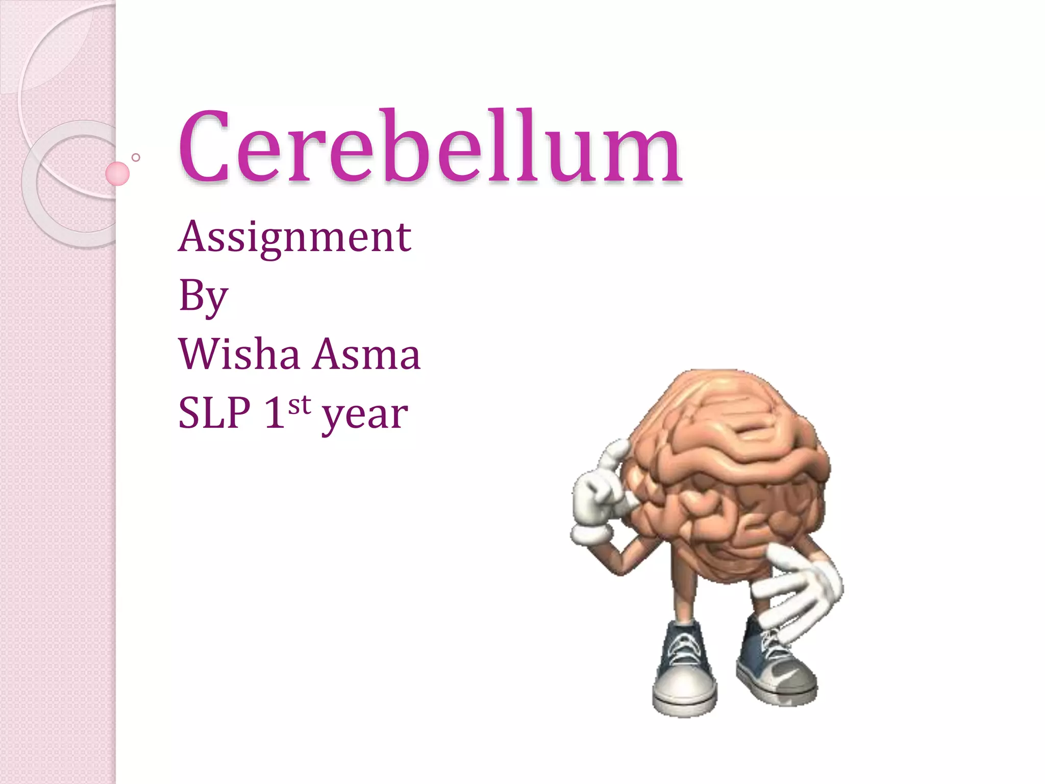 Cerebellum parts and function | PPT
