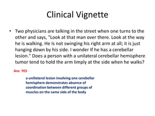 Clinical Vignette
• Two physicians are talking in the street when one turns to the
other and says, "Look at that man over there. Look at the way
he is walking. He Is not swinging his right arm at all; it is just
hanging down by his side. I wonder If he has a cerebellar
lesion." Does a person with a unilateral cerebellar hemisphere
tumor tend to hold the arm limply at the side when he walks?
a unillateral lesion involving one cerebellar
hemisphere demonstrates absence of
coordination between different groups of
muscles on the same side of the body
Ans YES
 