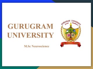 GURUGRAM
UNIVERSITY
M.Sc Neuroscience
 