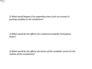 1) What would happen if an expanding mass (such as a tumor) is
pushing caudally on the cerebellum?
2) What would be the effects of a unilateral cerebellar hemisphere
lesion?
3) What would be the effects of a lesion of the cerebellar vermis (in the
midline of the cerebellum)?
 