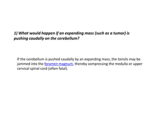 1) What would happen if an expanding mass (such as a tumor) is
pushing caudally on the cerebellum?
If the cerebellum is pushed caudally by an expanding mass, the tonsils may be
jammed into the foramen magnum, thereby compressing the medulla or upper
cervical spinal cord (often fatal).
 