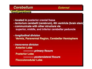 Cerebellum External
Configurations
- located in posterior cranial fossa
- tentorium cerebelli (cerebrum), 4th ventricle (brain stem)
- communicate with other structure via
superior, middle, and inferior cerebellar peduncle
- longitudinal division
Vermis, Paravermal Region, Cerebellar Hemisphere
- transverse division
Anterior Lobe
------------ primary fissure
Posterior Lobe
------------ posterolateral fissure
Flocculonodular Lobe
 