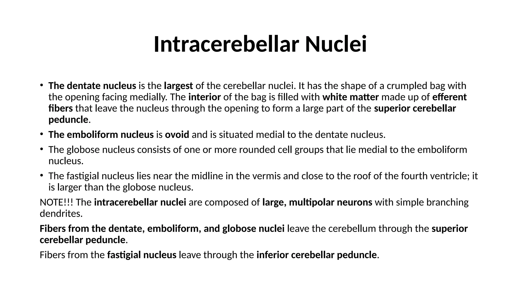 Intracerebellar Nuclei
• The dentate nucleus is the largest of the cerebellar nuclei. It has the shape of a crumpled bag with
the opening facing medially. The interior of the bag is filled with white matter made up of efferent
fibers that leave the nucleus through the opening to form a large part of the superior cerebellar
peduncle.
• The emboliform nucleus is ovoid and is situated medial to the dentate nucleus.
• The globose nucleus consists of one or more rounded cell groups that lie medial to the emboliform
nucleus.
• The fastigial nucleus lies near the midline in the vermis and close to the roof of the fourth ventricle; it
is larger than the globose nucleus.
NOTE!!! The intracerebellar nuclei are composed of large, multipolar neurons with simple branching
dendrites.
Fibers from the dentate, emboliform, and globose nuclei leave the cerebellum through the superior
cerebellar peduncle.
Fibers from the fastigial nucleus leave through the inferior cerebellar peduncle.
 