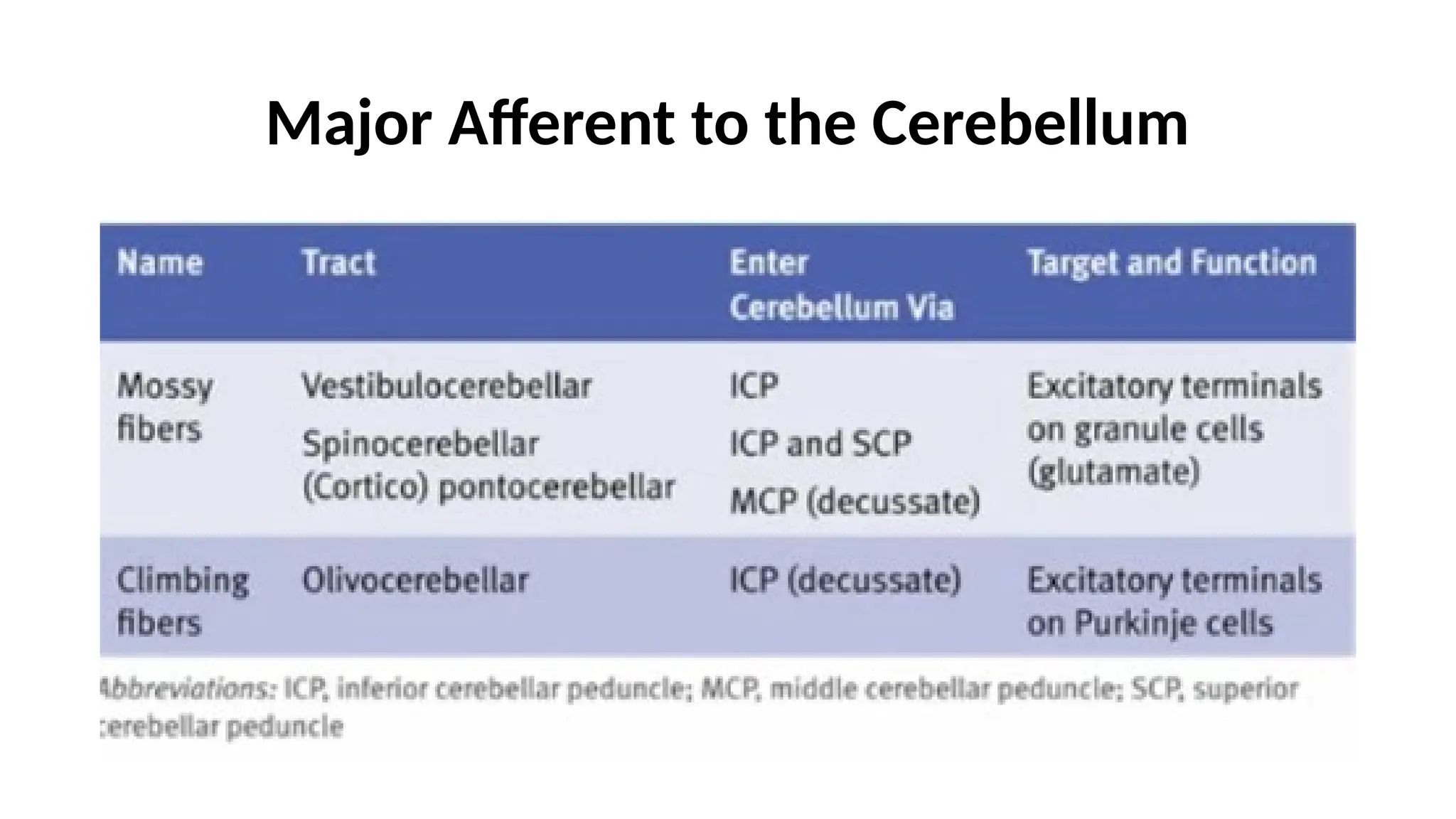 Major Afferent to the Cerebellum
 