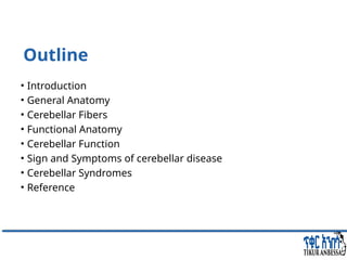 Comprehensive Overview of Cerebellum: Anatomy, Functions, and Disorders ...