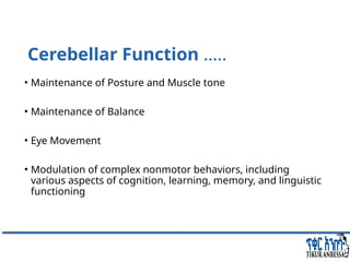 Comprehensive Overview of Cerebellum: Anatomy, Functions, and Disorders ...