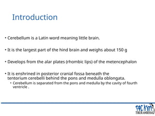Comprehensive Overview of Cerebellum: Anatomy, Functions, and Disorders ...