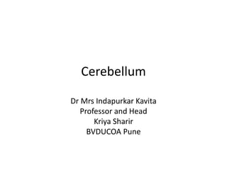 Cerebellum
Dr Mrs Indapurkar Kavita
Professor and Head
Kriya Sharir
BVDUCOA Pune
 