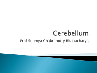 Prof Soumya Chakraborty Bhattacharya
 