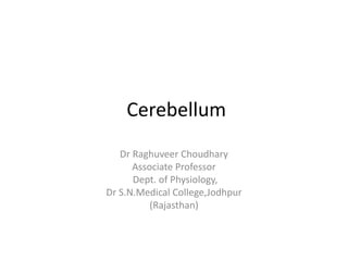 Cerebellum
Dr Raghuveer Choudhary
Associate Professor
Dept. of Physiology,
Dr S.N.Medical College,Jodhpur
(Rajasthan)
 