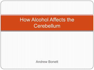 How Alcohol Affects the Cerebellum Andrew Bonett 