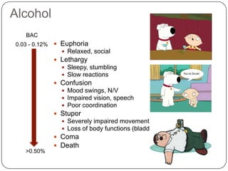 Cerebellum And Alcohol | PPTX