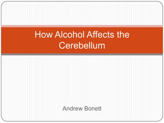 Cerebellum And Alcohol | PPT