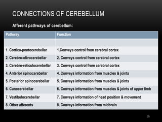 The Cerebellum and its applied anatomy.pptx