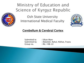 Osh State University
International Medical Faculty
Cerebellum & Cerebral Cortex
Submitted to : Ulkan Mam
Submitted by : Abdullah, Rahul, Nikhat, Frazia
Group no. : INL-10B-22
 