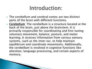  The cerebellum and cerebral cortex are two distinct
parts of the brain with different functions.
 Cerebellum: The cerebellum is a structure located at the
back of the brain, just above the brainstem. It is
primarily responsible for coordinating and fine-tuning
voluntary movement, balance, posture, and motor
learning. It receives information from various sensory
systems, such as the inner ear, to help maintain
equilibrium and coordinate movements. Additionally,
the cerebellum is involved in cognitive functions like
attention, language processing, and certain aspects of
memory.
 