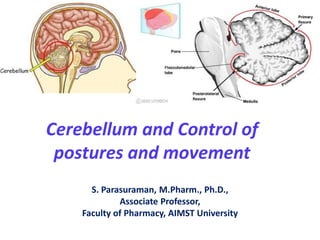 Cerebellum and Control of
postures and movement
S. Parasuraman, M.Pharm., Ph.D.,
Associate Professor,
Faculty of Pharmacy, AIMST University
 