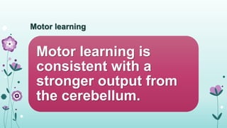 Cerebellum and movement modulation | PPSX