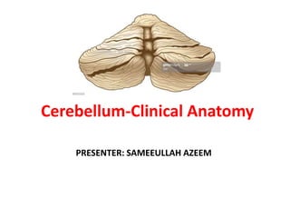 Cerebellum-Clinical Anatomy
PRESENTER: SAMEEULLAH AZEEM
 