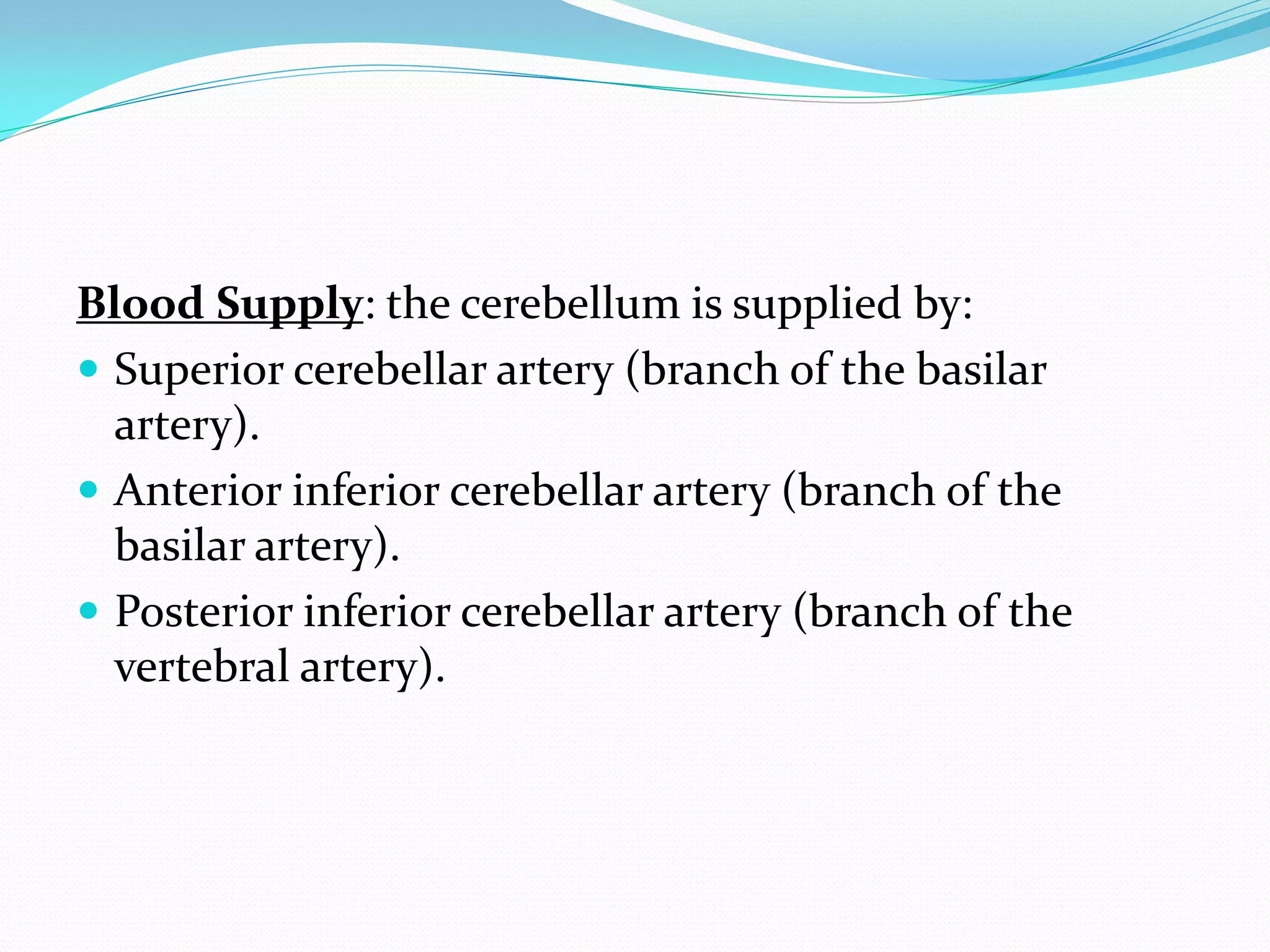 Cerebellum & ataxia | PDF