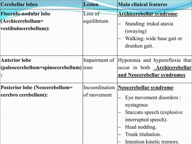 Cerebellum & ataxia | PDF