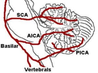 Cerebellum & ataxia | PDF