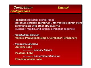CerebellumCerebellum ExternalExternal
ConfigurationsConfigurations
CerebellumCerebellum ExternalExternal
ConfigurationsConfigurations
- located in- located in posterior cranial fossaposterior cranial fossa
- tentorium cerebelli (cerebrum), 4th ventricle (brain stem)- tentorium cerebelli (cerebrum), 4th ventricle (brain stem)
- communicate with other structure via- communicate with other structure via
superior, middle, and inferior cerebellar pedunclesuperior, middle, and inferior cerebellar peduncle
-- longitudinal divisionlongitudinal division
Vermis, Paravermal Region, Cerebellar HemisphereVermis, Paravermal Region, Cerebellar Hemisphere
-- transverse divisiontransverse division
Anterior LobeAnterior Lobe
------------------------ primary fissureprimary fissure
Posterior LobePosterior Lobe
------------------------ posterolateral fissureposterolateral fissure
Flocculonodular LobeFlocculonodular Lobe
 