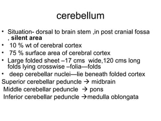 Cerebellum anatomy and functions and abnormalities | PPT