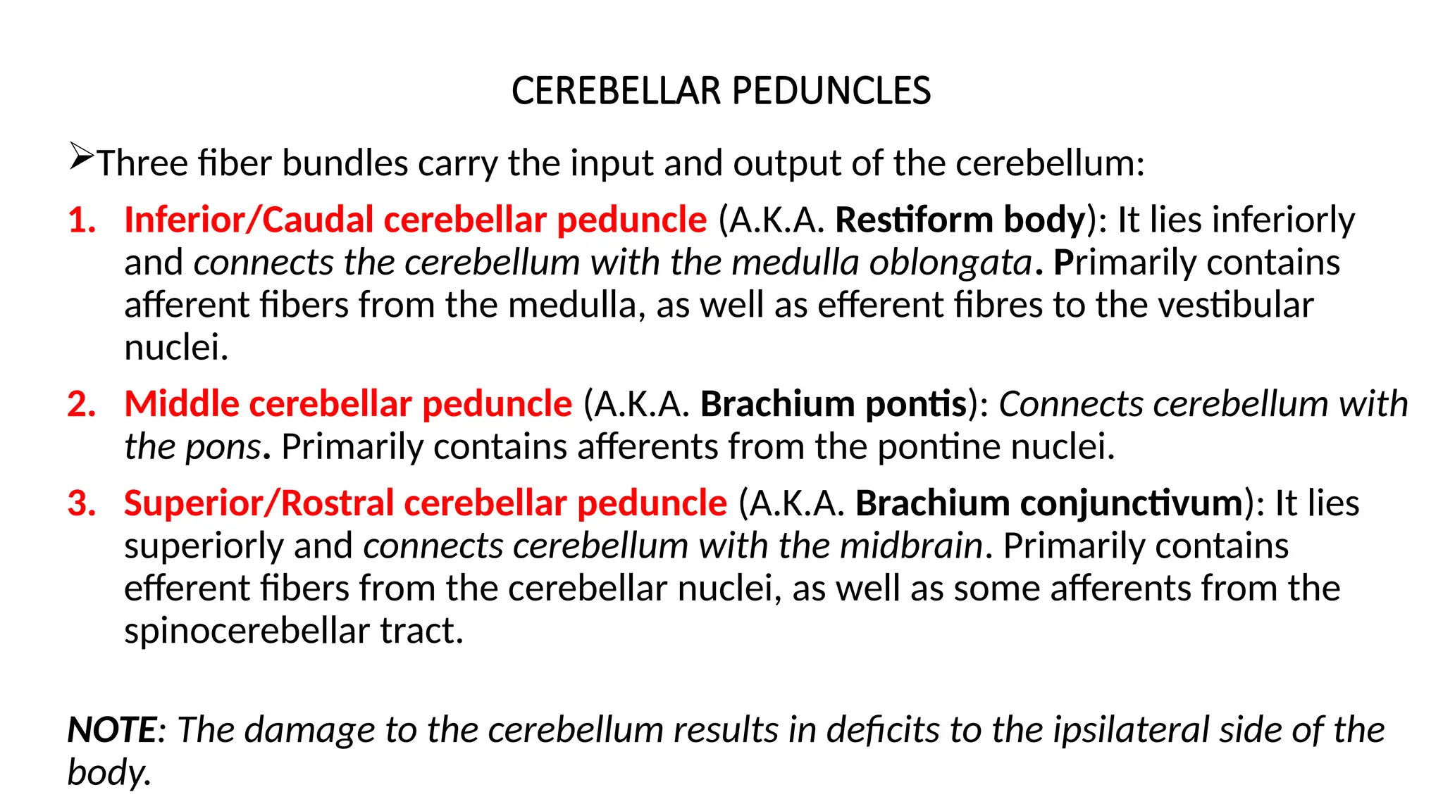 CEREBELLAR PEDUNCLES
Three fiber bundles carry the input and output of the cerebellum:
1. Inferior/Caudal cerebellar peduncle (A.K.A. Restiform body): It lies inferiorly
and connects the cerebellum with the medulla oblongata. Primarily contains
afferent fibers from the medulla, as well as efferent fibres to the vestibular
nuclei.
2. Middle cerebellar peduncle (A.K.A. Brachium pontis): Connects cerebellum with
the pons. Primarily contains afferents from the pontine nuclei.
3. Superior/Rostral cerebellar peduncle (A.K.A. Brachium conjunctivum): It lies
superiorly and connects cerebellum with the midbrain. Primarily contains
efferent fibers from the cerebellar nuclei, as well as some afferents from the
spinocerebellar tract.
NOTE: The damage to the cerebellum results in deficits to the ipsilateral side of the
body.
 
