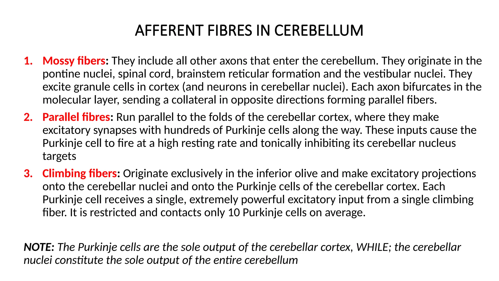 AFFERENT FIBRES IN CEREBELLUM
1. Mossy fibers: They include all other axons that enter the cerebellum. They originate in the
pontine nuclei, spinal cord, brainstem reticular formation and the vestibular nuclei. They
excite granule cells in cortex (and neurons in cerebellar nuclei). Each axon bifurcates in the
molecular layer, sending a collateral in opposite directions forming parallel fibers.
2. Parallel fibres: Run parallel to the folds of the cerebellar cortex, where they make
excitatory synapses with hundreds of Purkinje cells along the way. These inputs cause the
Purkinje cell to fire at a high resting rate and tonically inhibiting its cerebellar nucleus
targets
3. Climbing fibers: Originate exclusively in the inferior olive and make excitatory projections
onto the cerebellar nuclei and onto the Purkinje cells of the cerebellar cortex. Each
Purkinje cell receives a single, extremely powerful excitatory input from a single climbing
fiber. It is restricted and contacts only 10 Purkinje cells on average.
NOTE: The Purkinje cells are the sole output of the cerebellar cortex, WHILE; the cerebellar
nuclei constitute the sole output of the entire cerebellum
 