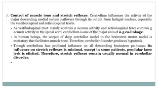 7. Control of muscle tone and stretch reflexes: Cerebellum influences the activity of the
major descending medial system pathways through its output from fastigial nucleus, especially
the vestibulospinal and reticulospinal tracts.
• As vestibulospinal tract mainly controls α neuron activity and reticulospinal tract controls g
neuron activity in the spinal cord, cerebellum is one of the major sites of α-g co-linkage.
• In human beings, the output of deep cerebellar nuclei to the brainstem motor nuclei is
excitatory that facilitates muscle tone. Therefore, cerebellar disorder produces hypotonia.
• Though cerebellum has profound influence on all descending brainstem pathways, its
influence on stretch reflexes is minimal, except in some patients, pendular knee
jerk is elicited. Therefore, stretch reflexes remain usually normal in cerebellar
disorder.
•
 