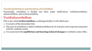 Functional Divisions and Functions of Cerebellum
Functionally, cerebellum is divided into three major subdivisions: vestibulocerebellum,
spinocerebellum, and cerebrocerebellum.
Vestibulocerebellum
This is also called archicerebellum, as phylogenetically it is the oldest part.
1. It consists of flocculonodular lobe.
2. This part of cerebellum is called vestibulocerebellum for its extensive and reciprocal connection
with the vestibular nuclei.
3. It is concerned with equilibrium and learning induced changes in vestibulo-ocular reflex.
 