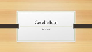 Cerebellum
Dr. Aamir
 