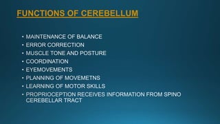 FUNCTIONS OF CEREBELLUM
 